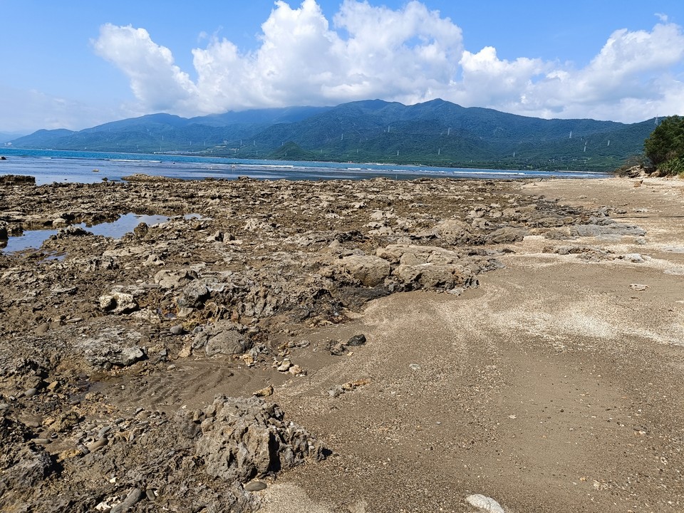 海口港沙灘