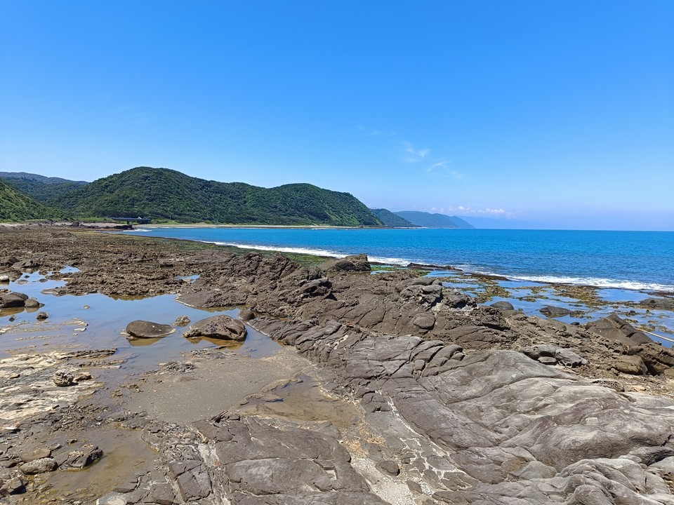 鯨魚噴泉