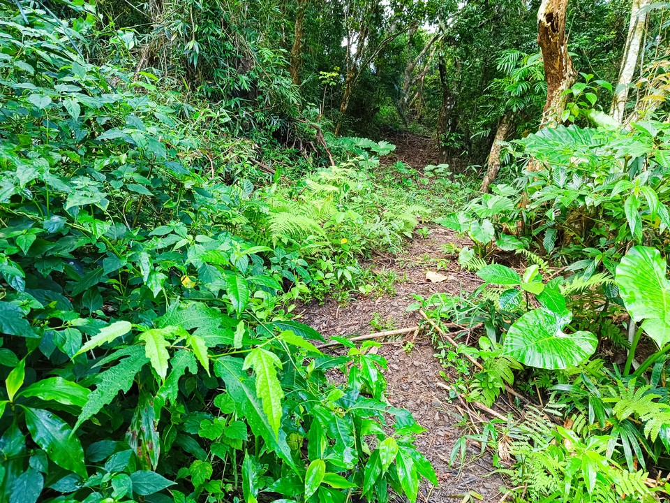 Cacevakan石板屋遺址