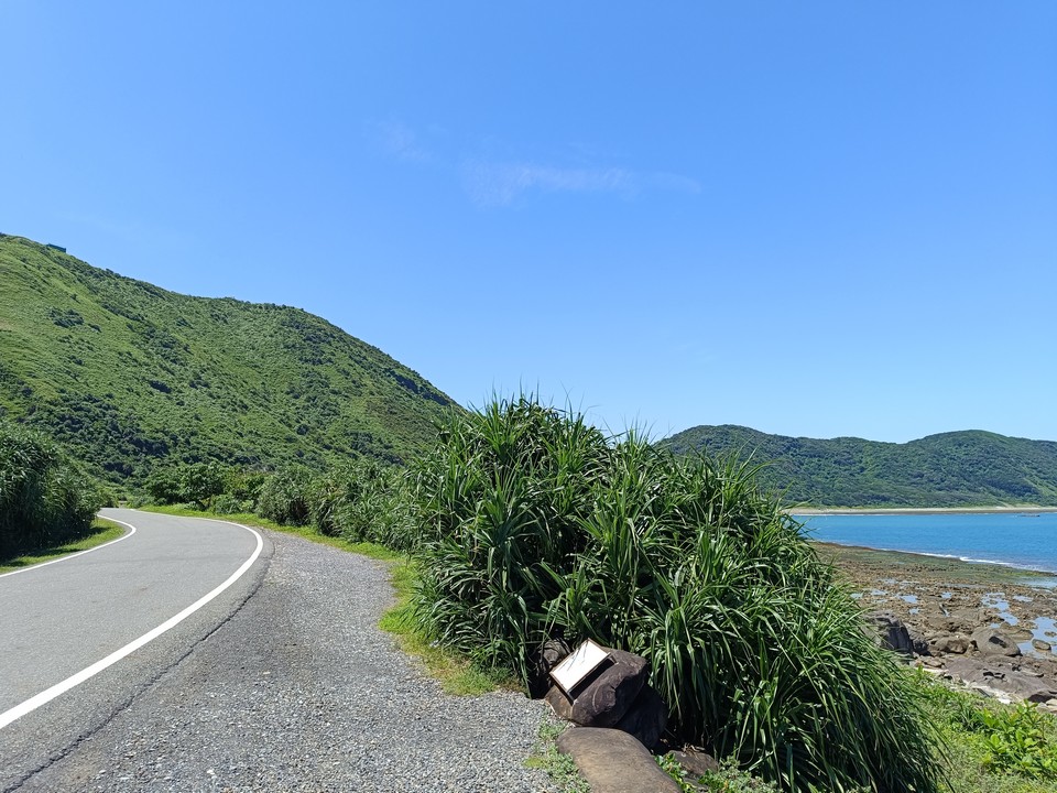 景點「鯨魚噴泉」封面圖片