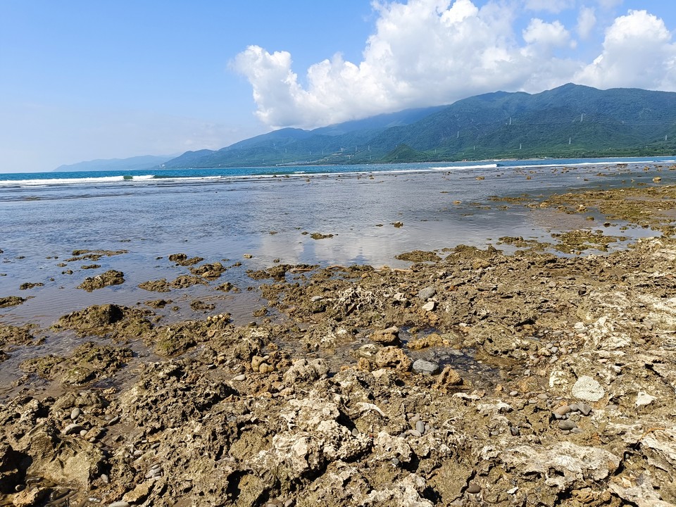 海口港沙灘
