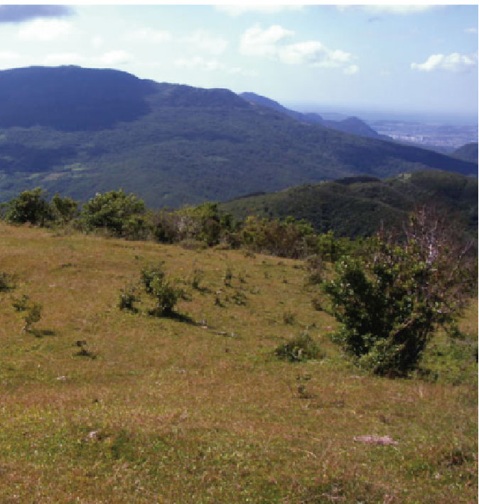 景點「area rekreasi gunung SiGeLin」封面圖片