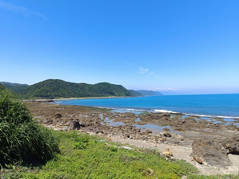 鯨魚噴泉