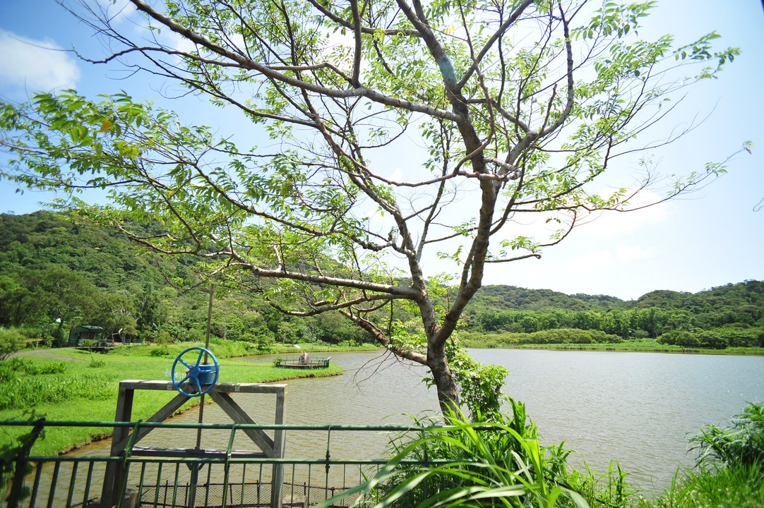 東源森林遊樂區