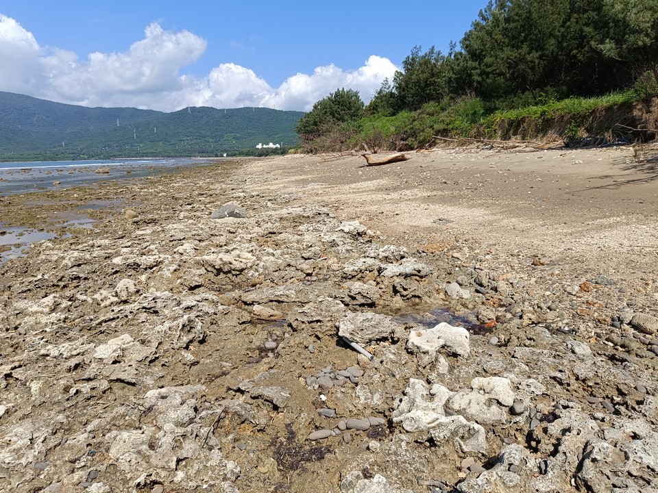 海口港沙灘
