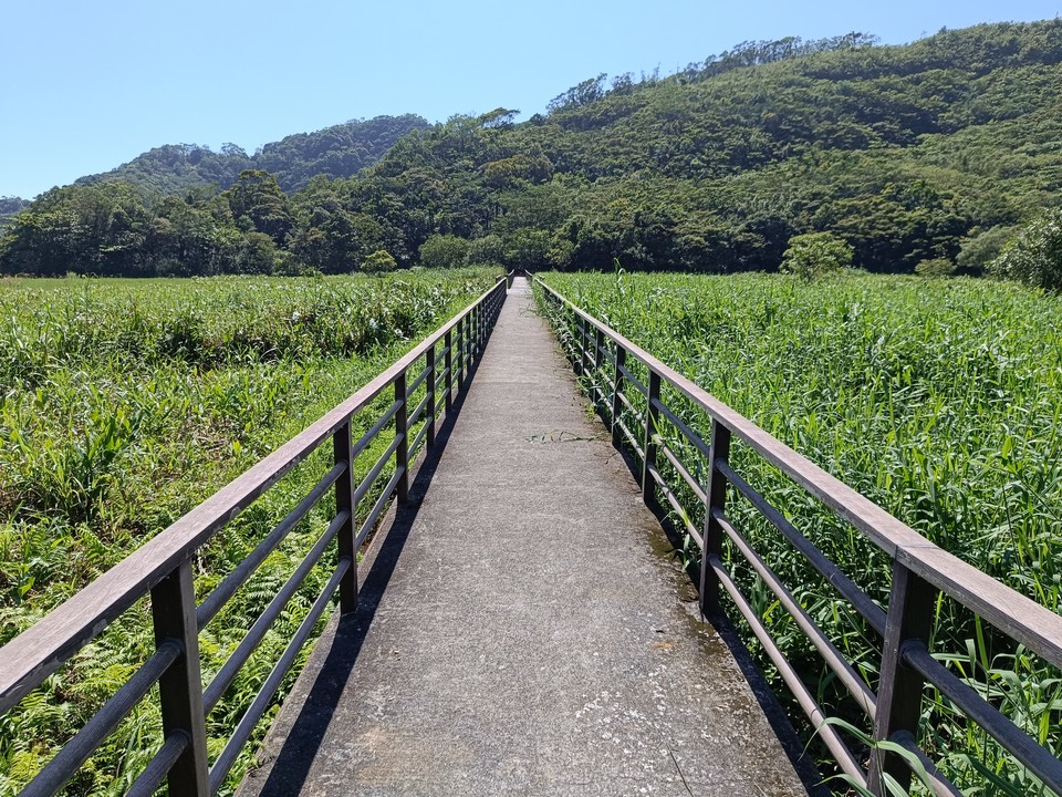 景點「Ladang Bunga Jahe Liar」封面圖片