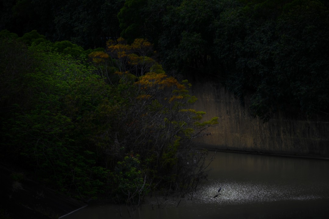 牡丹水庫_8799-2-3.jpg